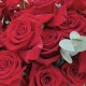 Cutie 15 trandafiri rosii