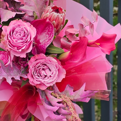 Pretty in Pink