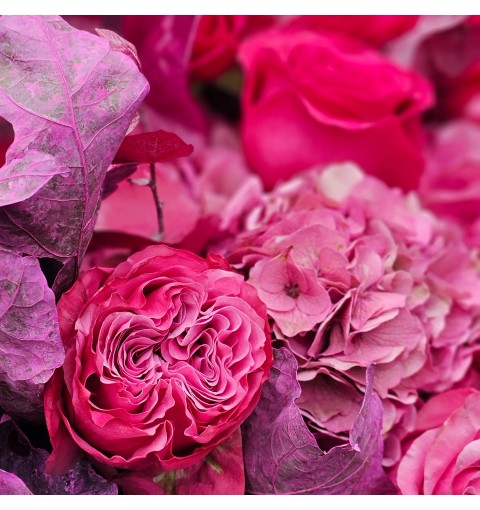 Buchet Fuchsia Passion